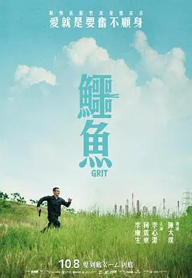 《鳄鱼》影评：血腥巨兽的沼泽狂欢，不止是惊悚！深度解析人性与生存的挣扎