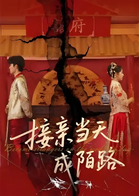 《接亲当天成陌路》：婚姻的“甜蜜炸弹”，幸福背后的泪水与醒悟！